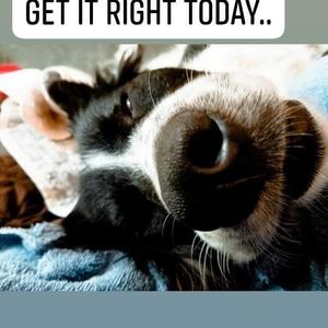 Meet your Posher, Delia